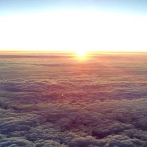 Meet your Posher, Poonam